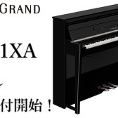 【新製品】YAMAHA/NU1XA　ご予約承ります