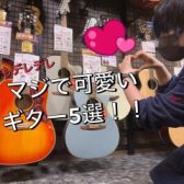 【可愛すぎ注意】ギター担当が選ぶ、マジで可愛いギター5本紹介します～島村楽器奈良店～