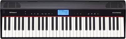 RolandGO-61P
