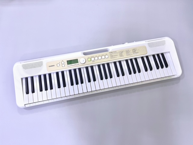 CasioLK-325