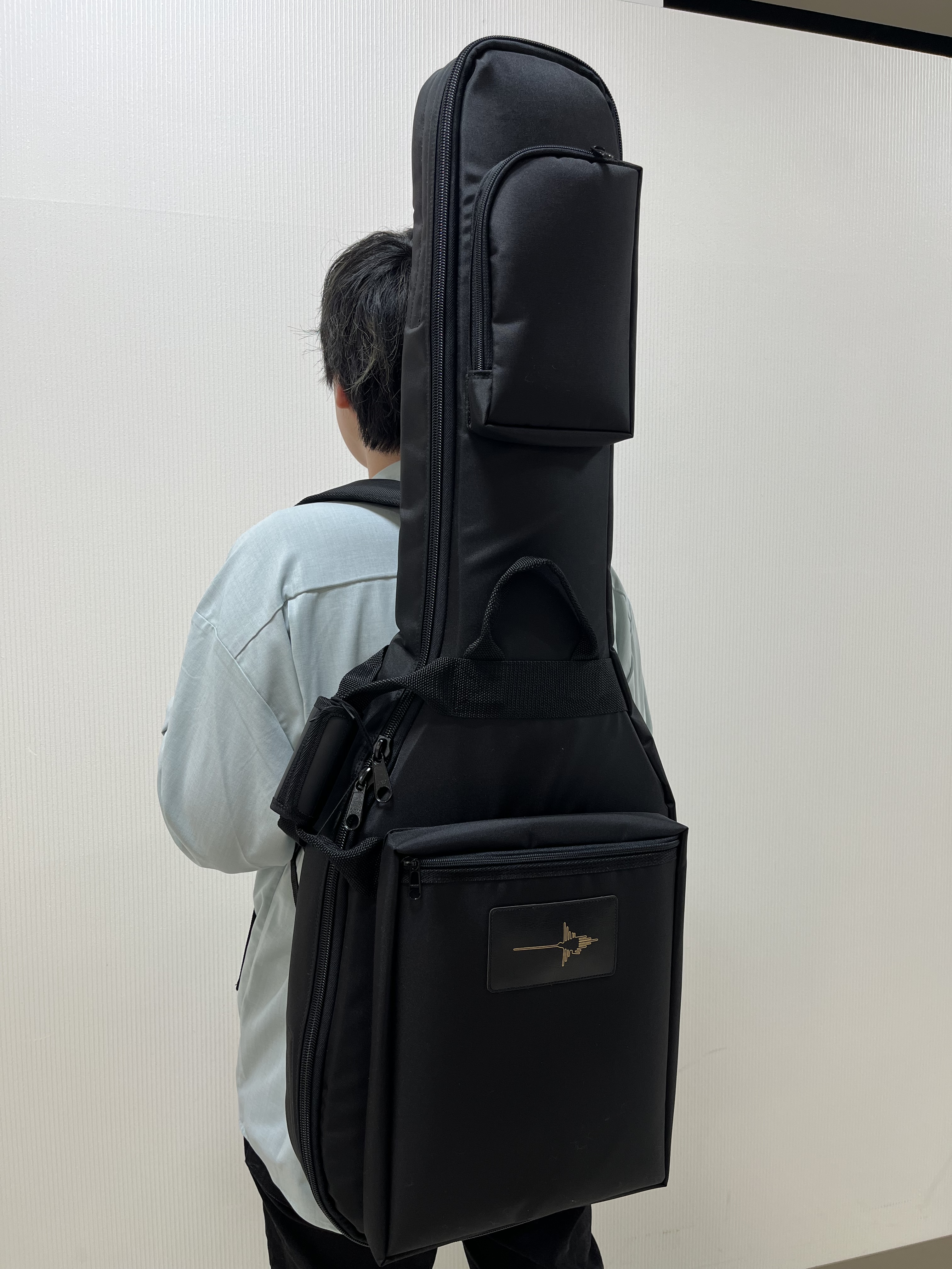ストラト、テレキャス、レスポール カラー:黒エレキギター用