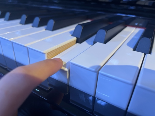 鍵盤