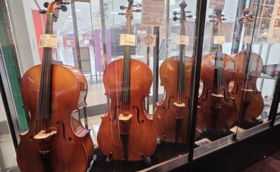 【随時更新】チェロ🎻ラインナップ大公開！【ミ・ナーラ奈良店】