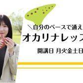 自分のペースで自由に楽しめる❘大人のためのオカリナ個人レッスン