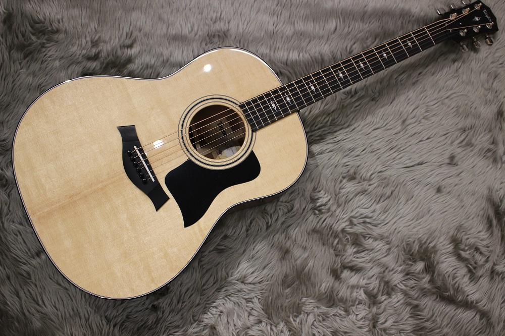 Taylor/317e V-Class　入荷しました！