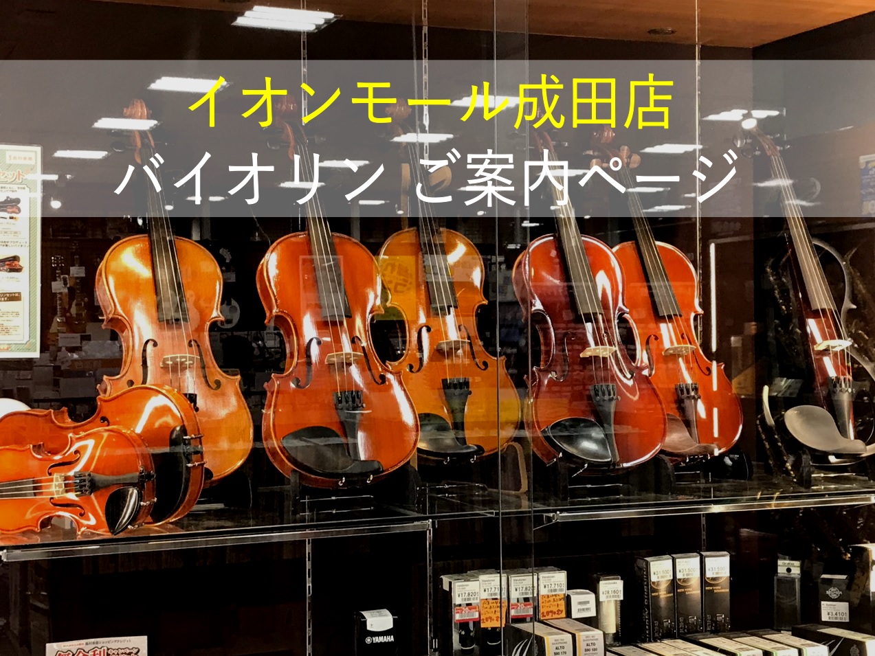 【弦楽器】バイオリン総合ページ～イオンモール成田店の在庫情報