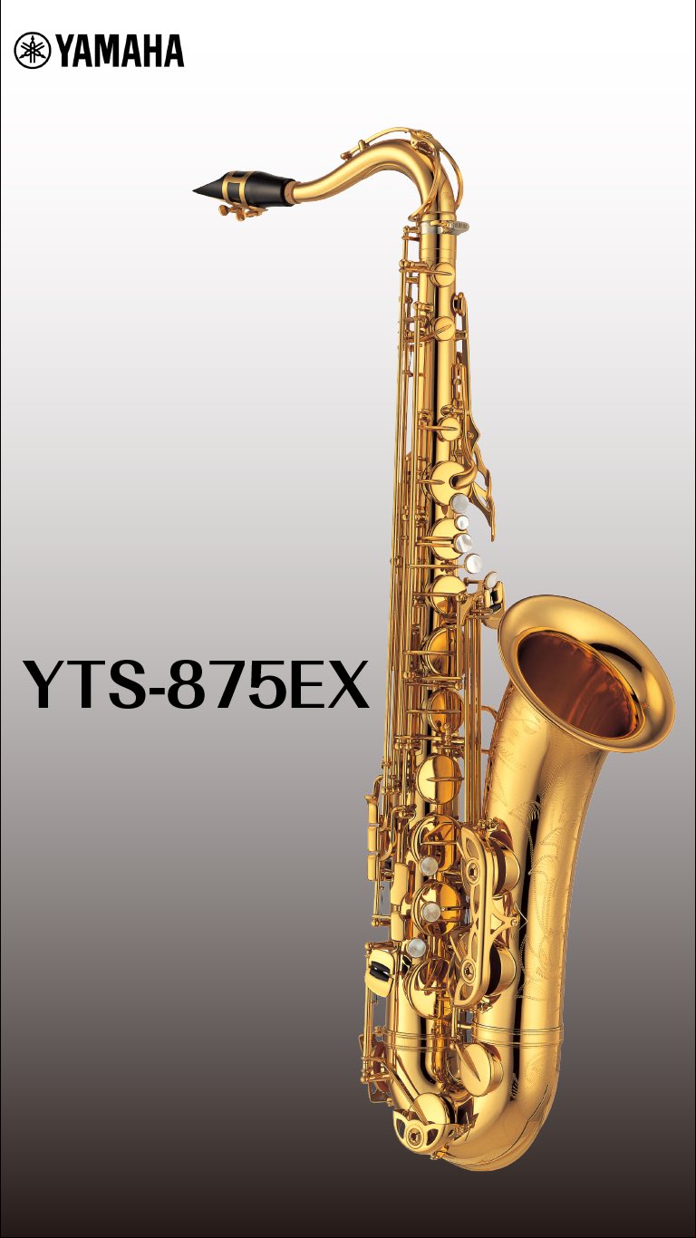 YAMAHAYTS-875EX