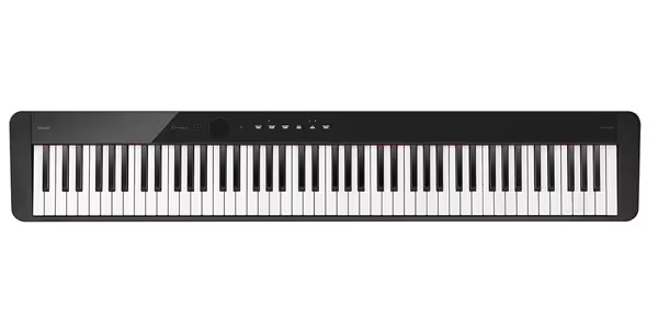 CASIOPX-S5000