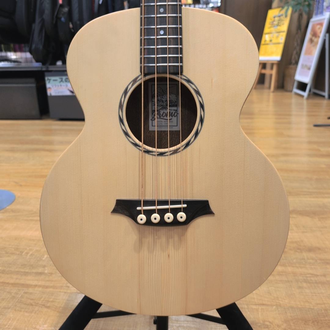 エレアコベースBromo/BAT8E BASS