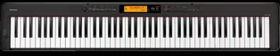 CASIOCDP-S300