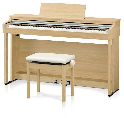 KAWAICX302