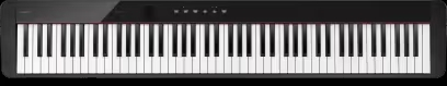 CASIOPX-S1100