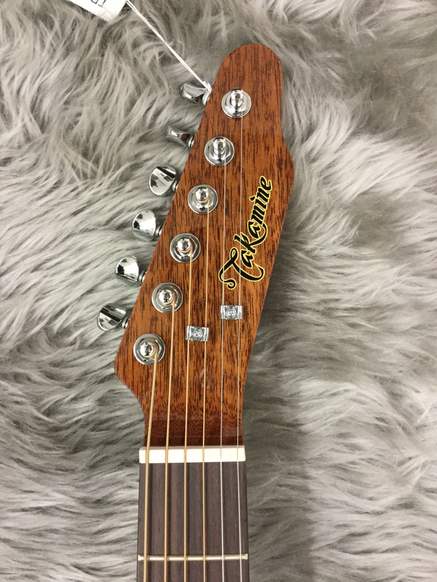 【入荷情報】Takamine – TDP500-6
