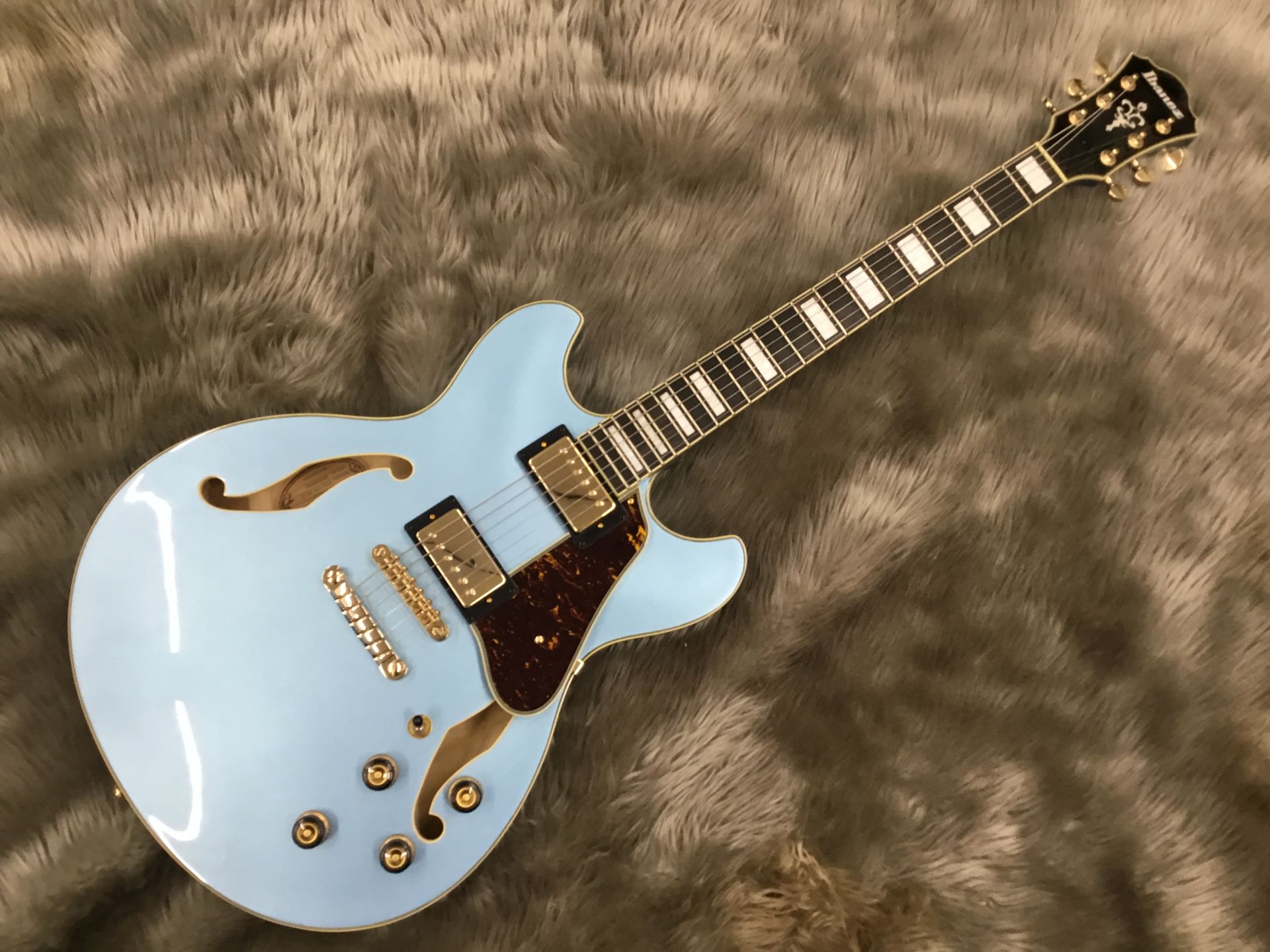 ルックスにもこだわりたい貴方へ！珠玉のセミアコ新入荷情報！
