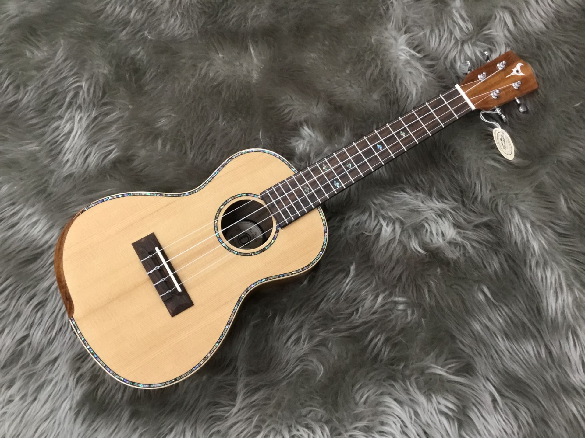 ウッキー田上のウクレレ新入荷情報！2019/11/19