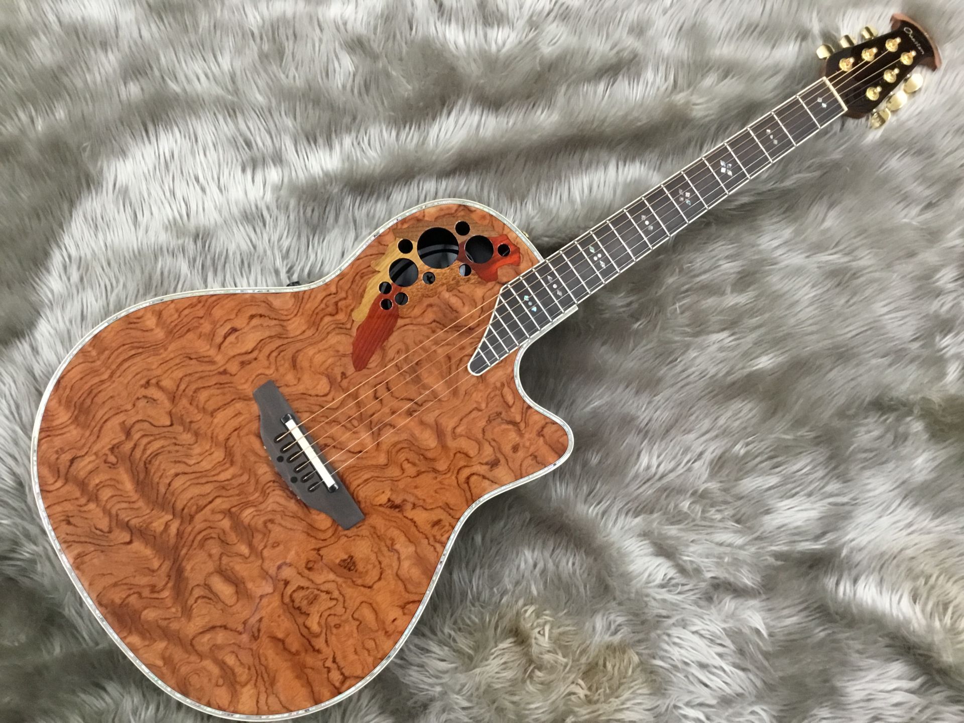アコースティックギター・お買い得モデルのご紹介！！