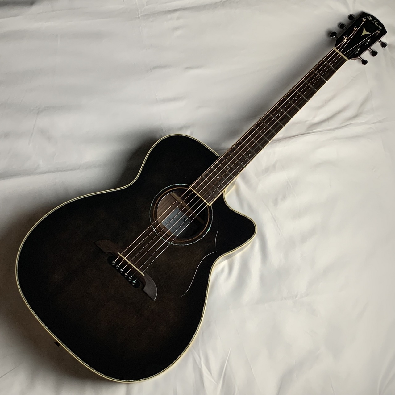 エレキアコースティックギターSWY-RO1