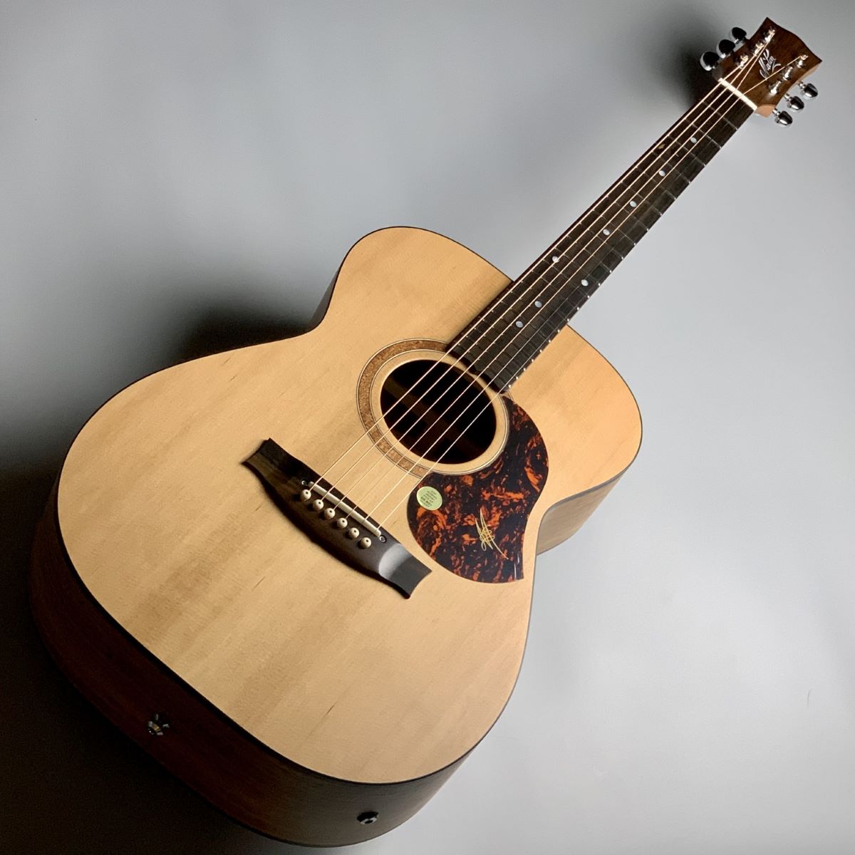 エレキアコースティックギターSRS808
