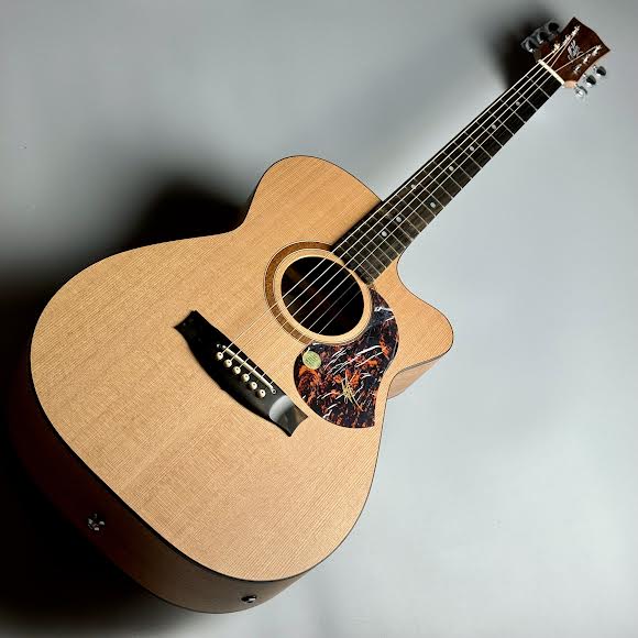 エレキアコースティックギターSRS808C