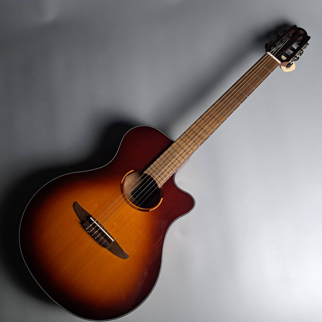 エレガットギターNTX1 BROWN SUNBURST