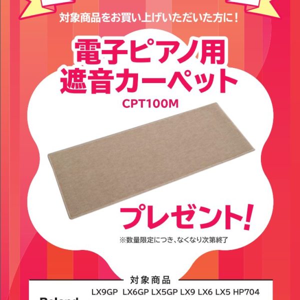 LXシリーズをお買い上げの方に<br />
期間限定で遮音カーペットをプレゼント！