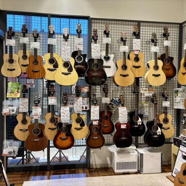 2本目のギターをお探しの方にちょうどいいミドルクラスのギターも揃っております。