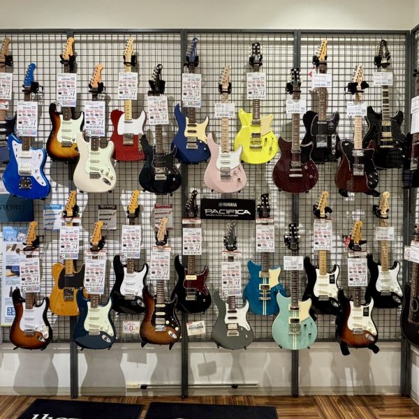 こちらは少しだけ上の価格帯。質が目に見えて良くなってくるのもこの価格帯から！