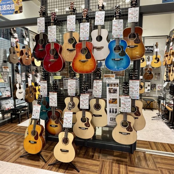これから始める方にオススメの入門者ギターを入口すぐに展示。