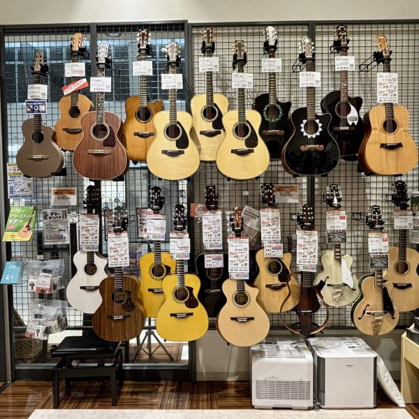 2本目のギターをお探しの方にちょうどいいミドルクラスのギターも揃っております。