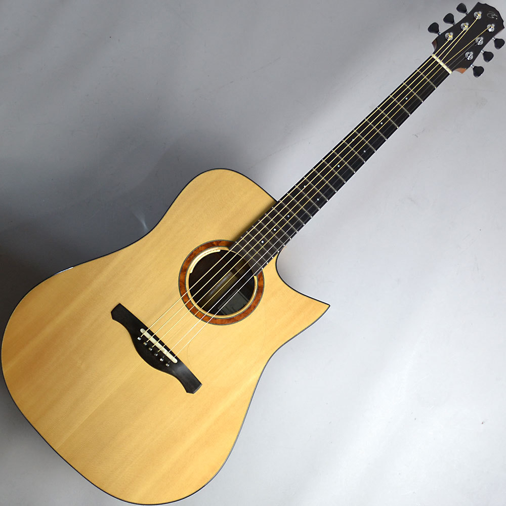 NISHIHARA GUITARS NINE D