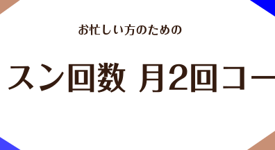 大人気　レッスン月2回コース