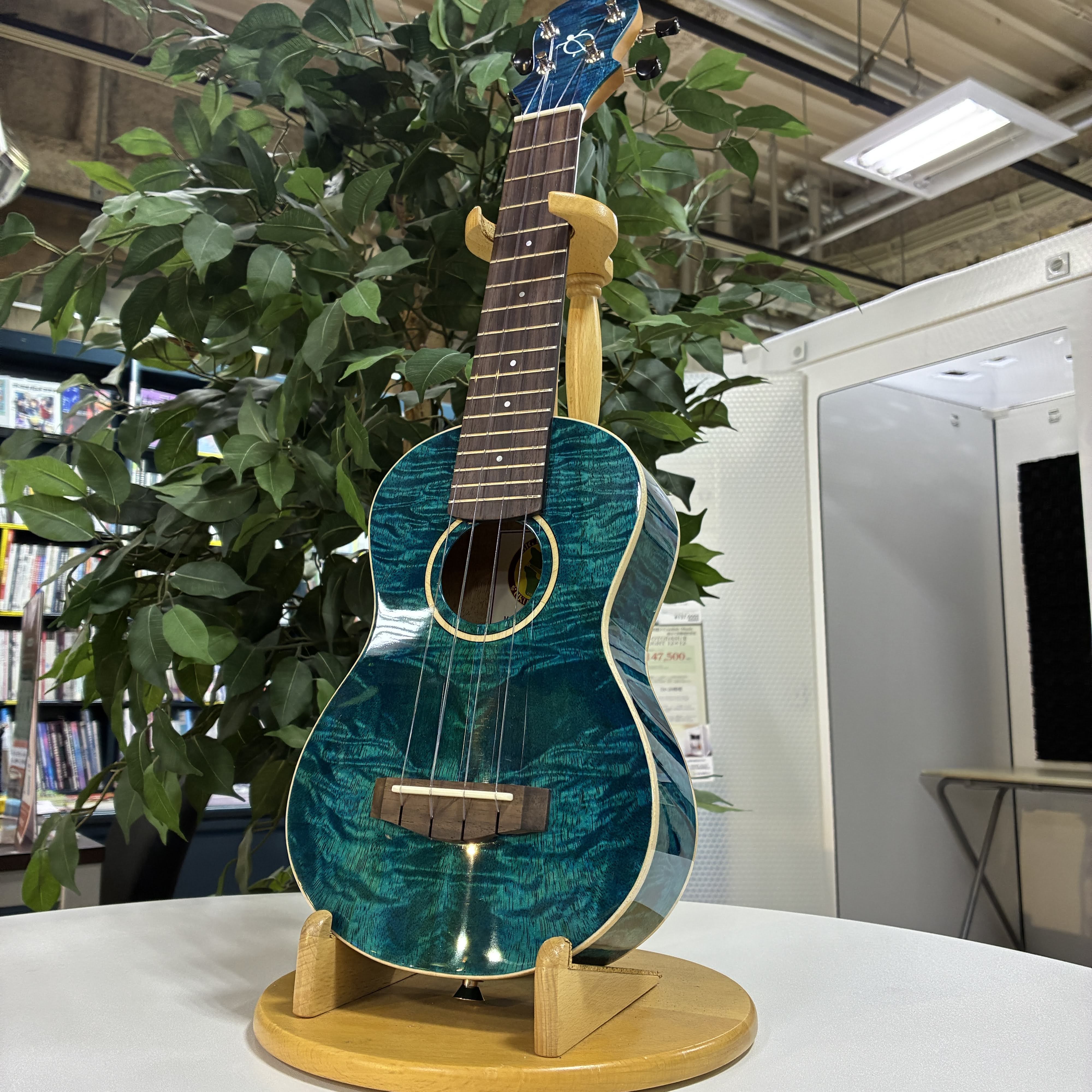 BIG ISLANDKR-MO-SPS/BL