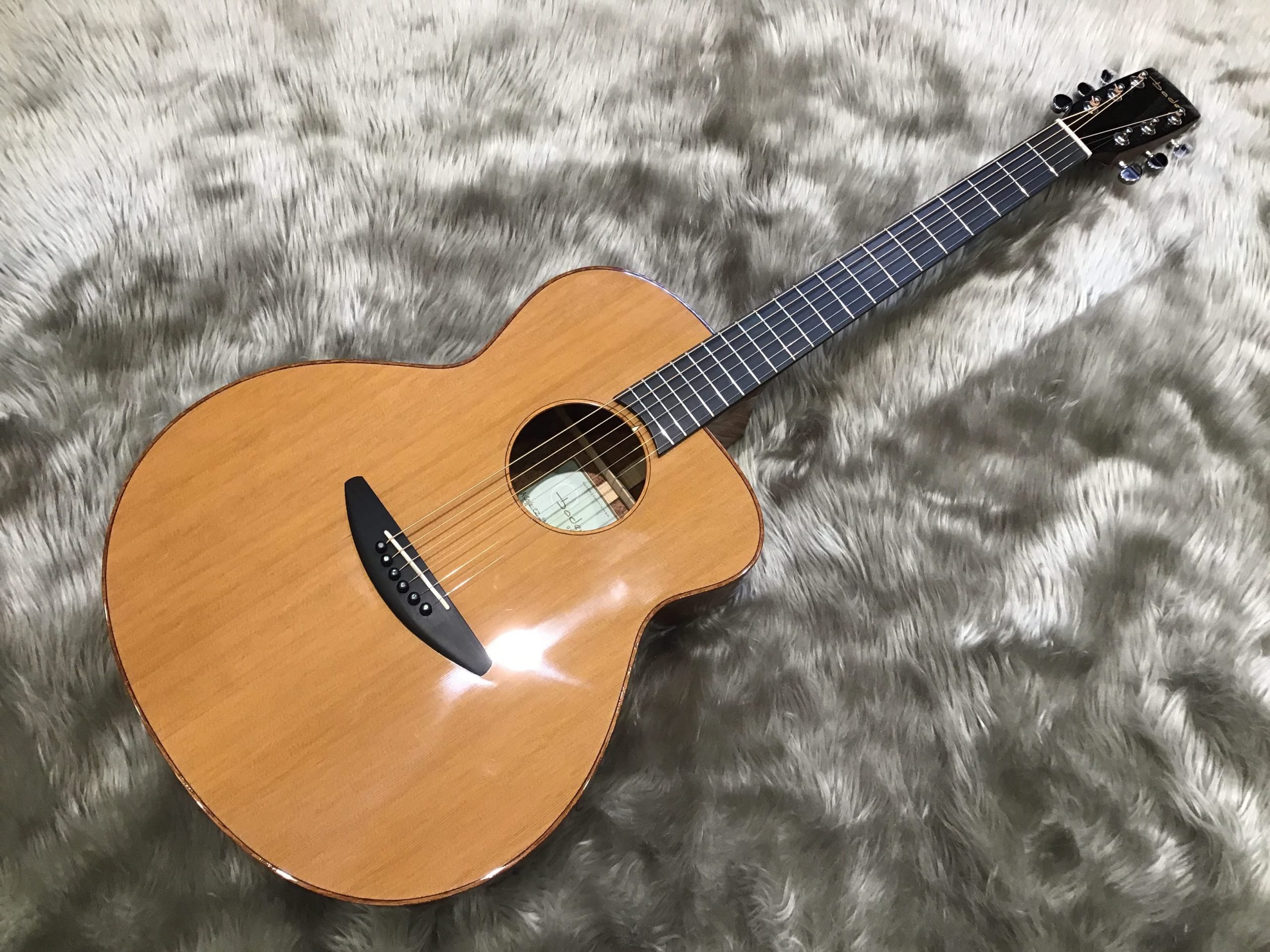 【アコースティックギター新入荷】baden guitars A-CZ　A-SR入荷しました！