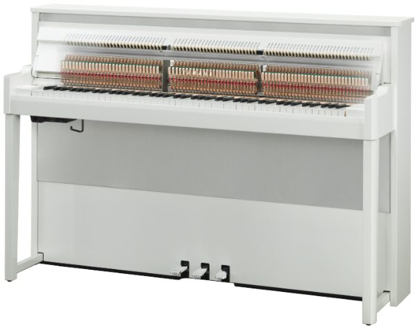 YAMAHANU1X(PBW)
