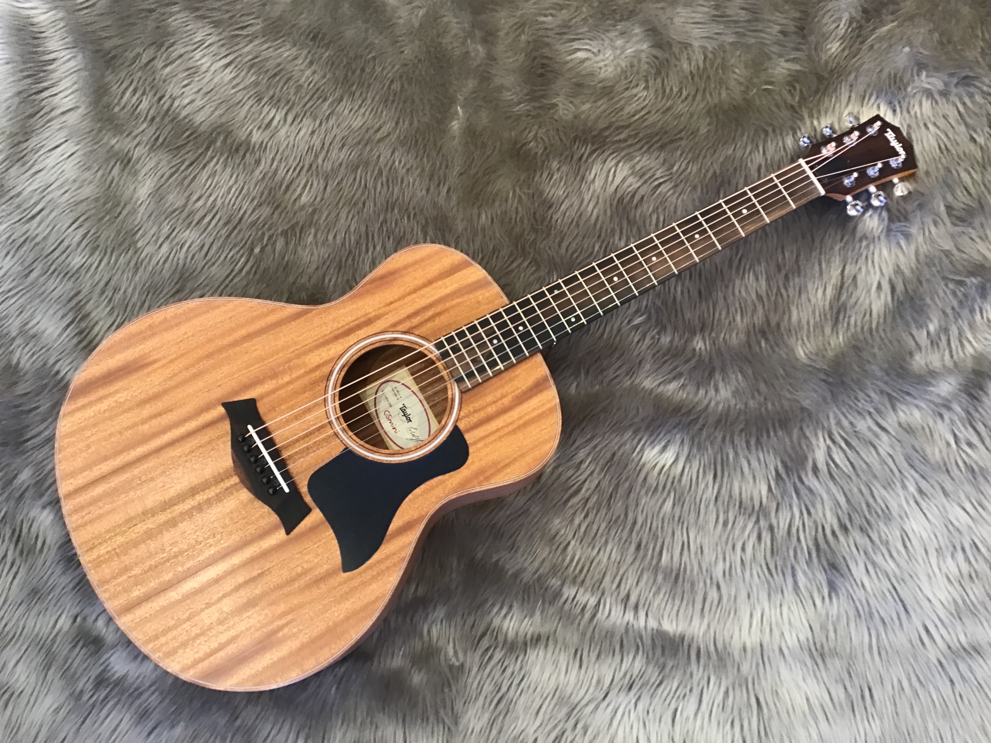 TaylorGS Mini-e Mahogany