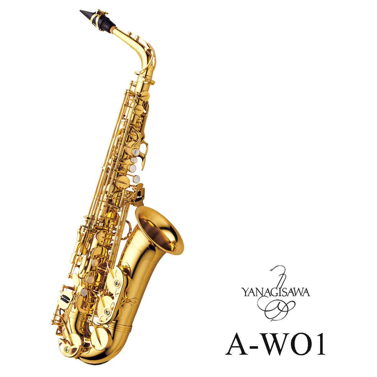 YanagisawaA-WO1