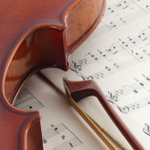 初心者必見！賢いヴァイオリンの選び方🎻