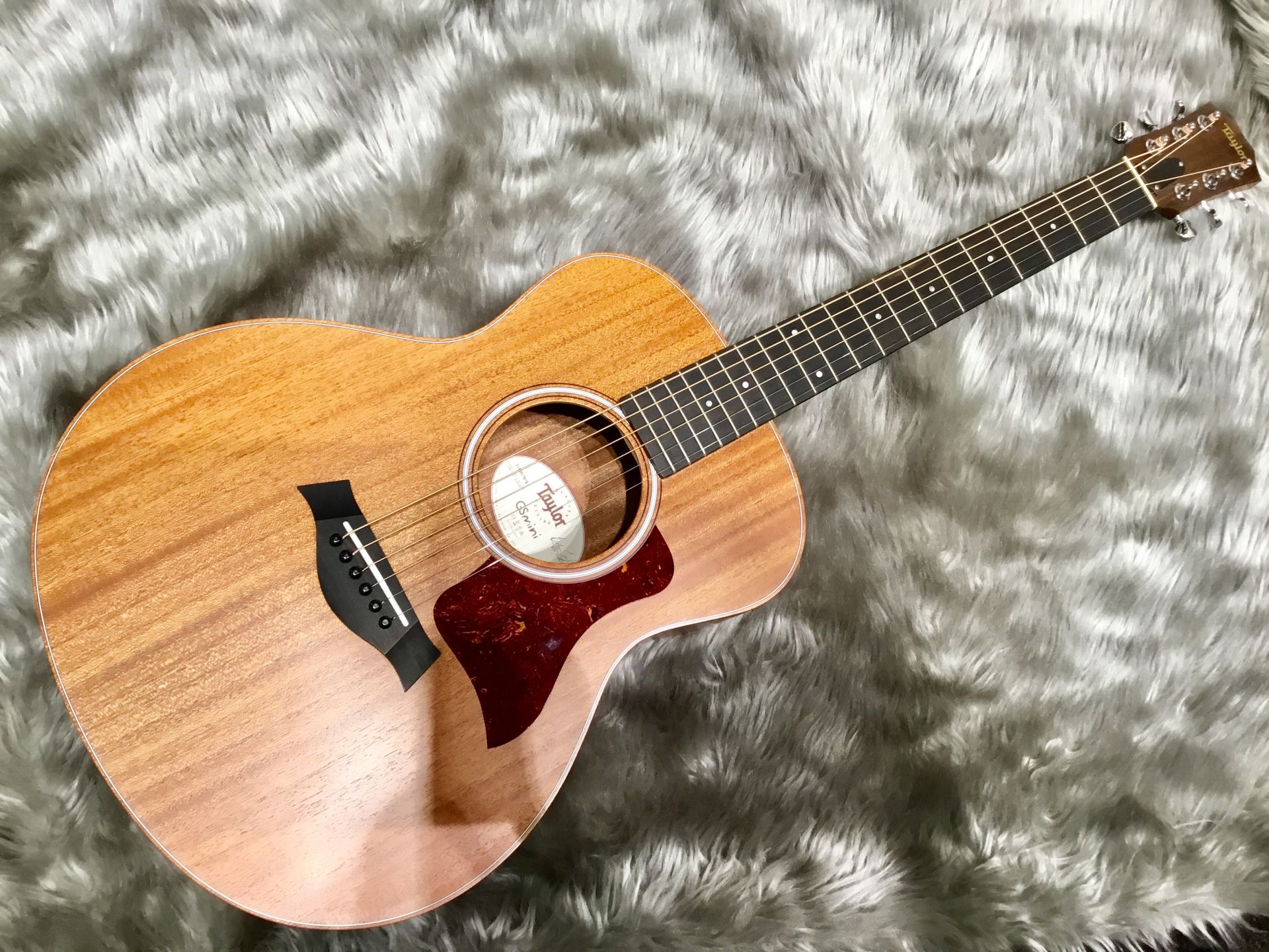 【入荷情報】Taylor – GS Mini Mahogany