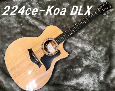 【入荷情報】Taylor – 224ce-Koa DLX