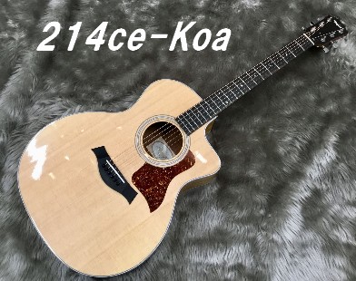 【入荷情報】Taylor – 214ce-Koa