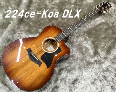 【入荷情報】Taylor – 224ce-Koa DLX