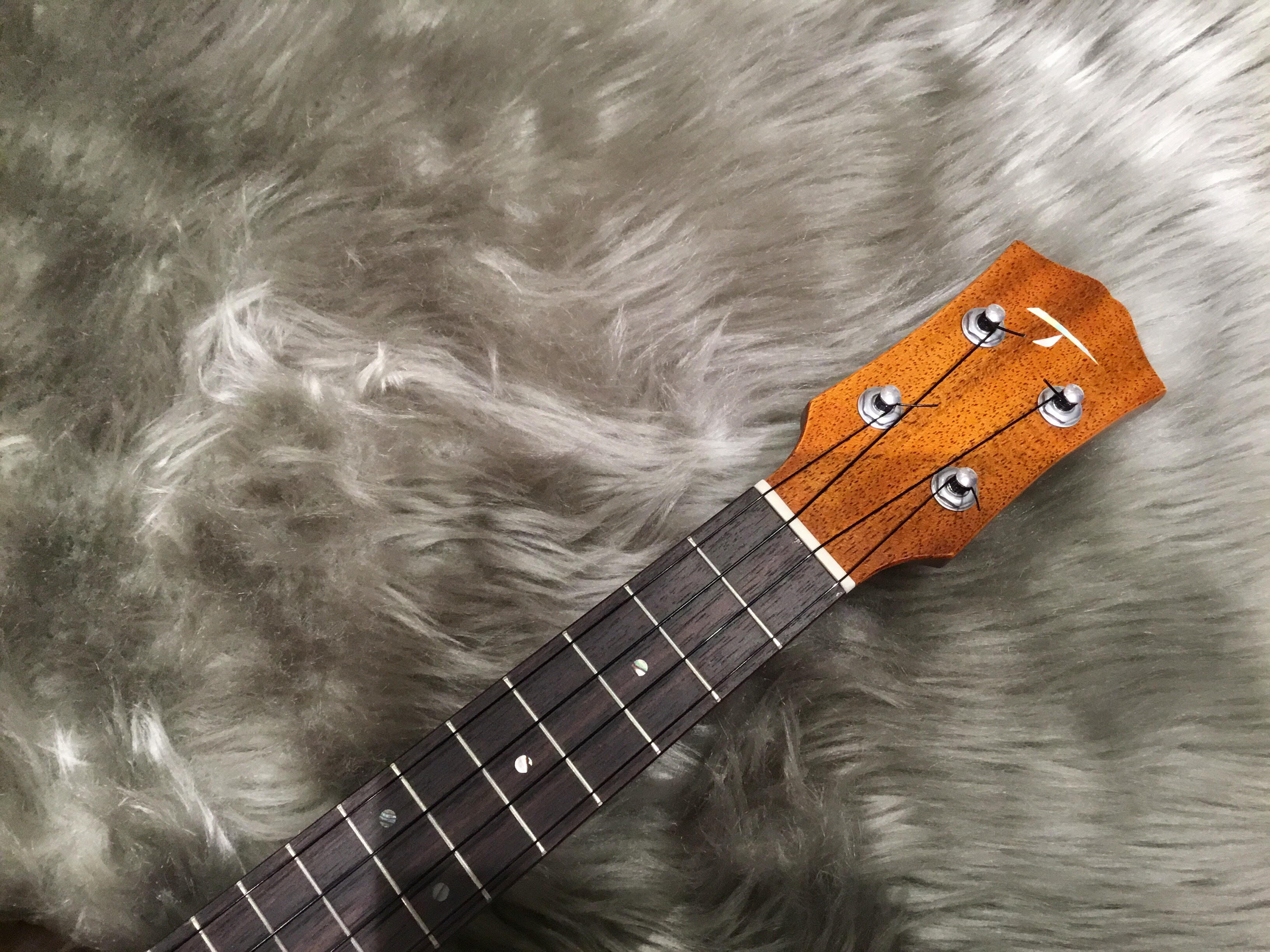 T's Ukulele】コンサートウクレレ CS-100｜島村楽器 イオンモール直方店