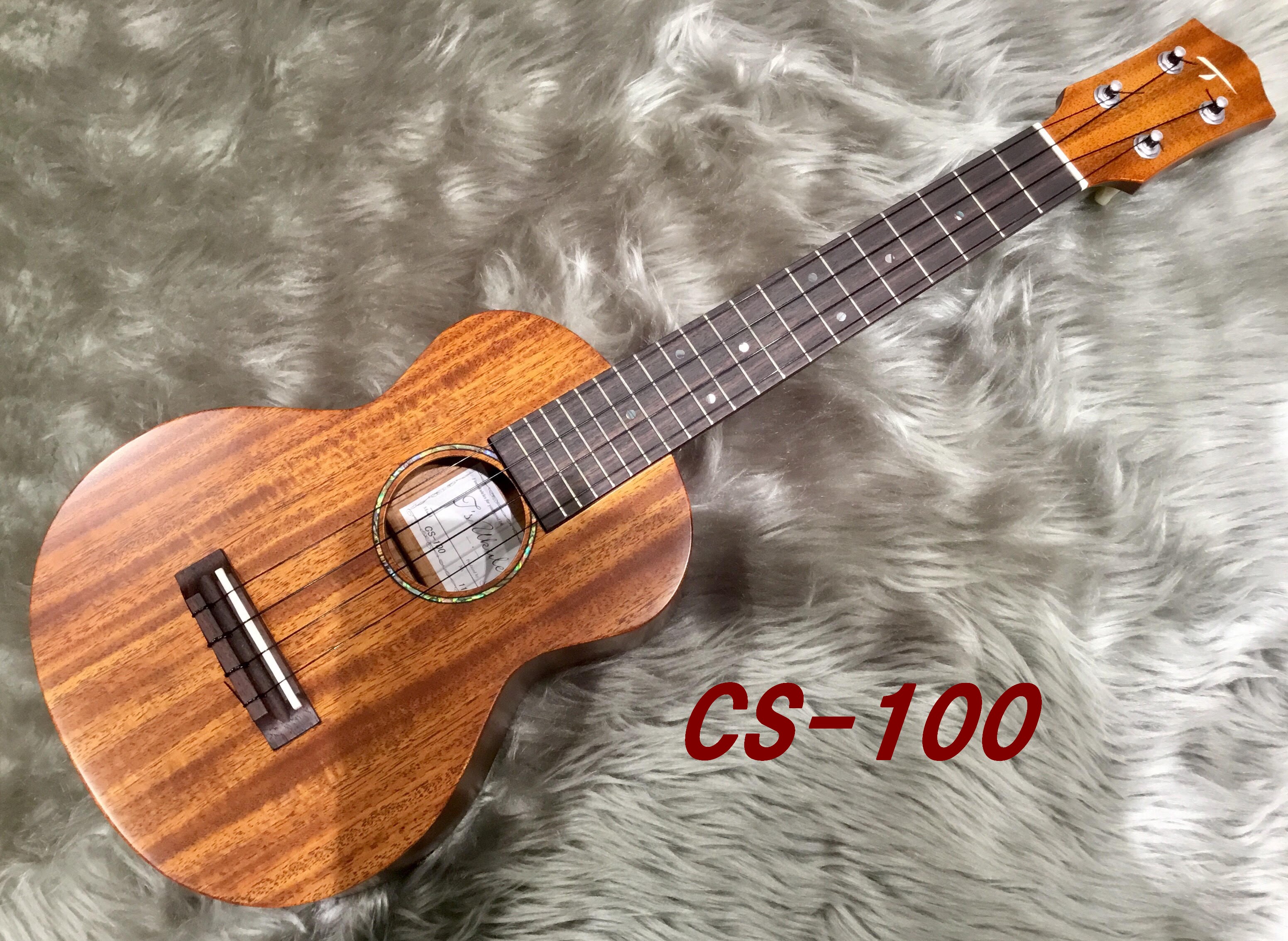 ティーズ ウクレレ CS-100 | settannimacchineagricole.it