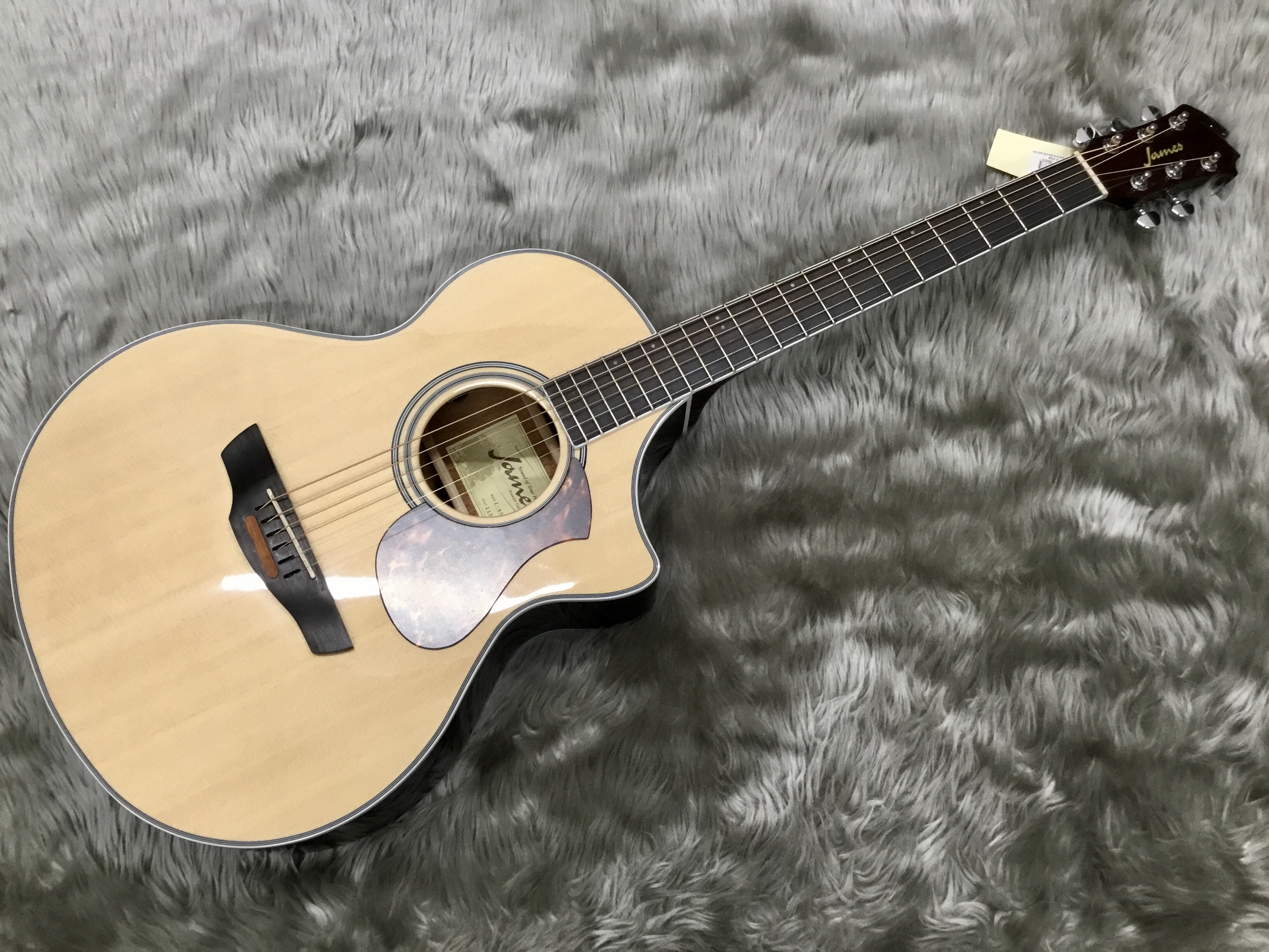 譲渡先決定しました】島村楽器 James JD400 アコースティックギター