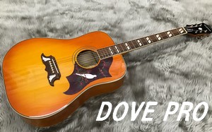 【エレアコ】Epiphone DOVE PRO