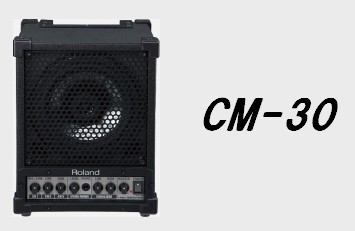 モニタースピーカー】Roland CM-30｜島村楽器 イオンモール直方店