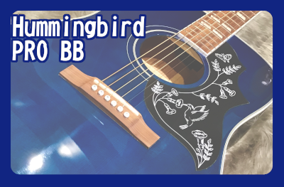 【アコースティックギター】Epiphone Hummingbird PRO BB