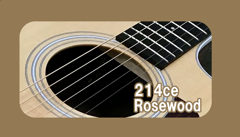 【エレアコギター】Taylor 214ce Rosewood