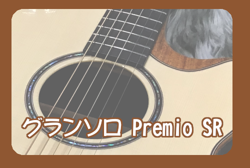 【アコースティックギター】ASTURIAS グランソロ Premio SR