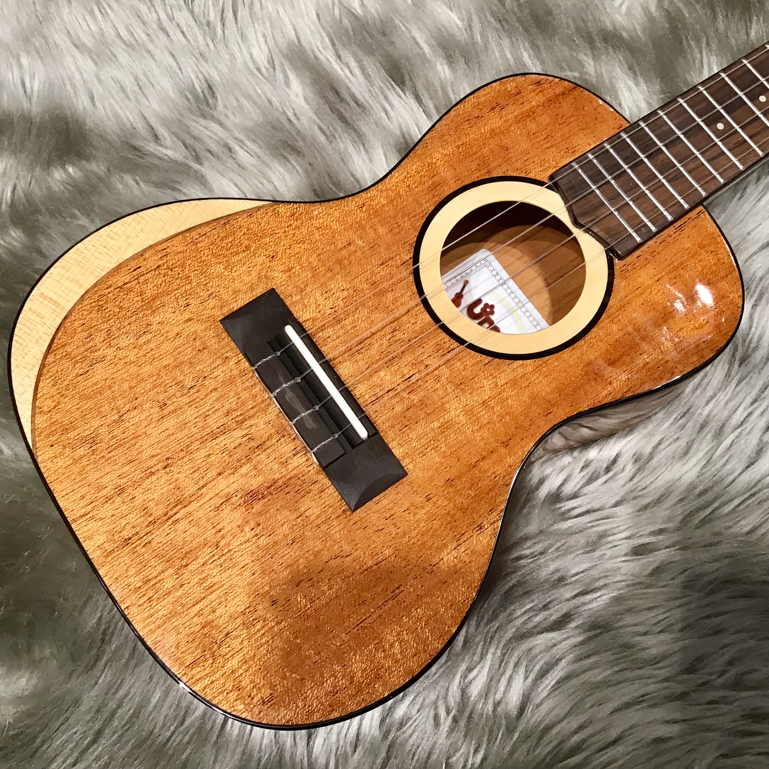 【ウクレレ】Uma ukulele 「MOON-SC Concert」 入荷しました！｜島村楽器 イオンモール直方店